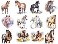 Bügelbild Bügelmotiv Pferd