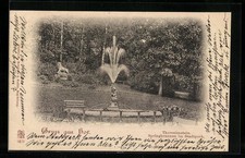 Ansichtskarte Hof, Theresienstein, Springbrunnen im Stadtpark 1901 