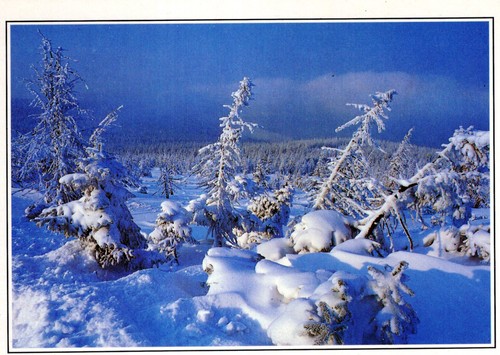125 schlesien winter im - schlesien,,