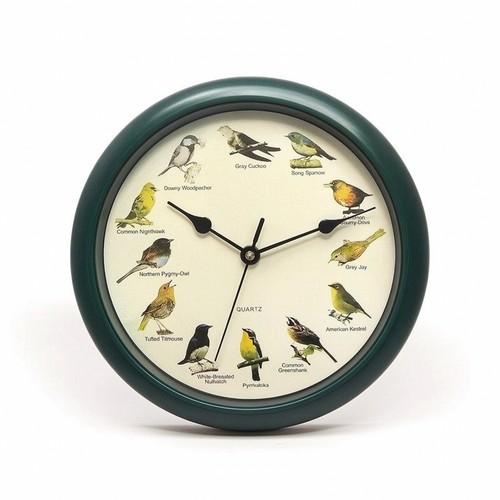 Wanduhr mit vogelstimmen - wanduhr,