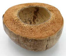 eine halbe Kokosnuss Schale