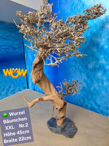 Aquarium wurzel bonsai - wurzel,