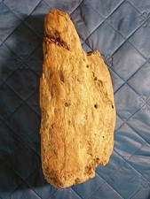 Treibholz Schwemmholz