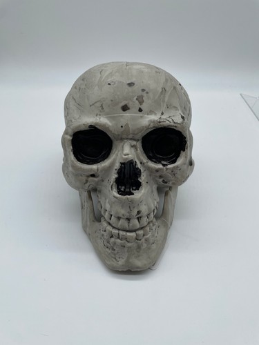 Halloween totenkopf - halloween,
