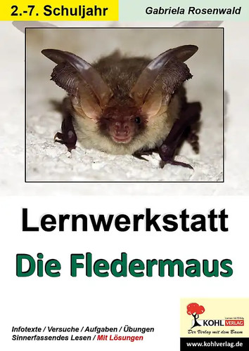 Lernwerkstatt fledermaus - lernwerkstatt,