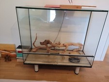 Terrarium 105x45x80cm mit Zubehör