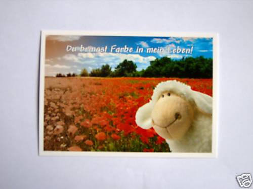 Nici karte postkarte jolly - karte,