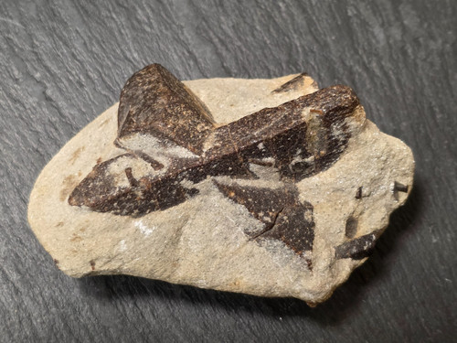 Staurolith kreuz zwilling top - staurolith, kreuz-zwilling