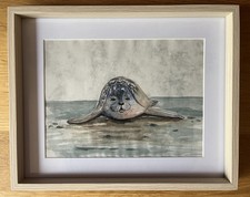 Aquarellbild 21x26 Seerobbe eingerahmt maritime Art Meer Handarbeit unikat