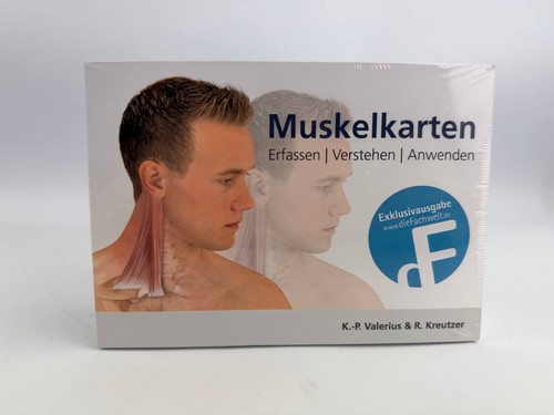 Muskelkarten anatomie set - anatomie,