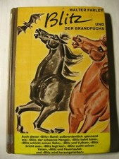 Blitz und der Brandfuchs