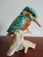 Eisvogel von Goebel aus