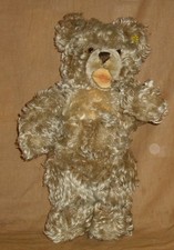 Teddybär