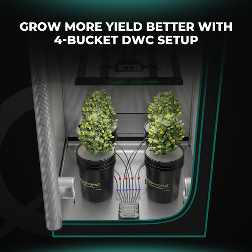 Mars hydro dwc hydroponics - mars,
