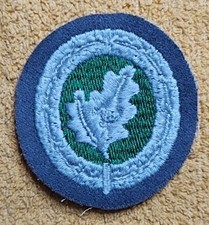 Abzeichen, Aufnäher