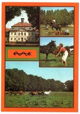 Ak Neustadt Dosse Kreis Kyritz