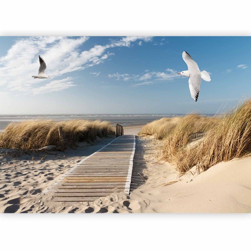 Strand meer landschaft - meer, vlies