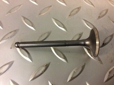 PGO Genuine Scooter Co. Buddy