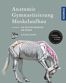 Anatomie gymnastizierung - anatomie,,