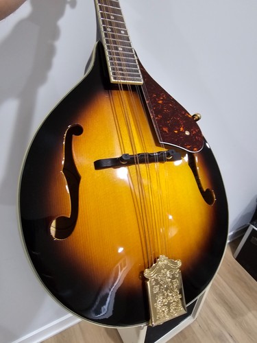 Fender 53s mandolin - fender,