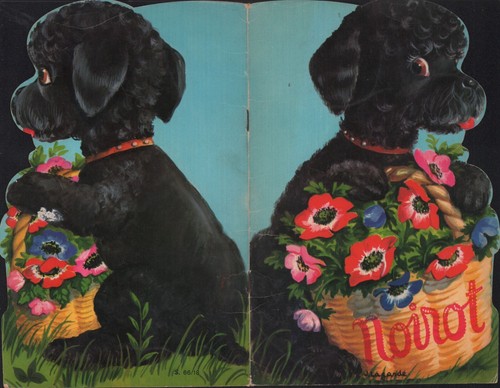 Bilderbuch hemma verlag - hemma,