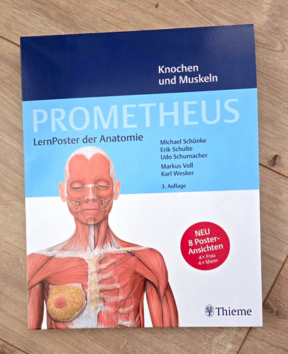 Thieme prometheus lernposter - thieme,