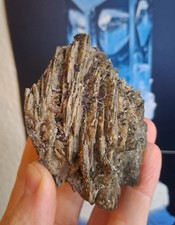 HS Baryt xx Fluorit St