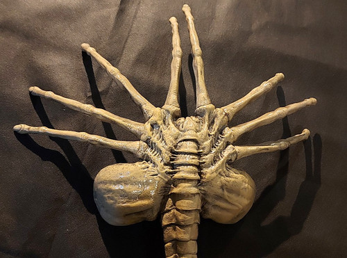 Facehugger aus alien 1 - alien, 1/1