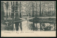 AK - Pinneberg Waldauge