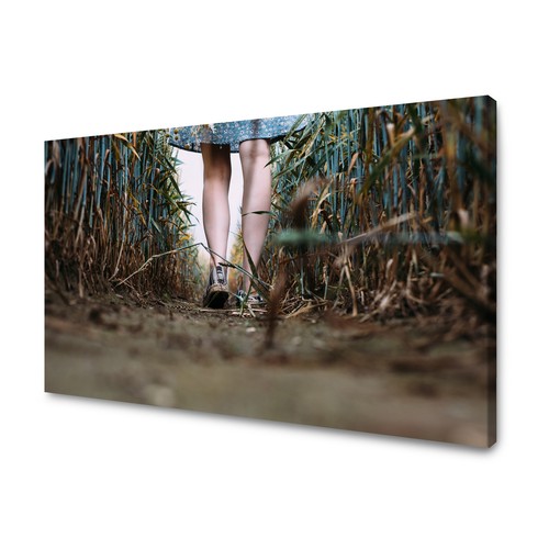 Canvas leinwandbilder bilder - canvas,
