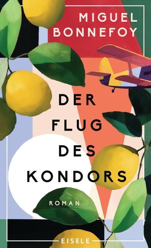 Der flug des - flug, kondors