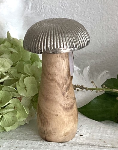 Pilz fliegenpilz mango - fliegenpilz,
