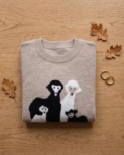 Kuscheliger damen pullover - kuscheliger, mit