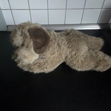 Seltener Steiff Hund "Floppy