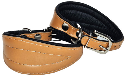 Greyhound podenco windhund - greyhound,