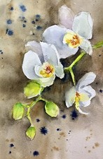 Original Aquarell Bild