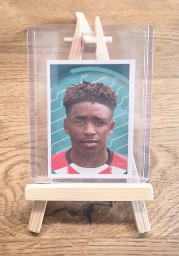 Panini sticker psv eindhoven - psv,