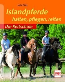 Die reitschule islandpferde - reitschule:,