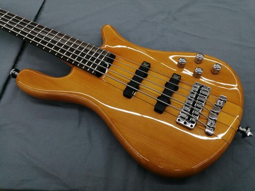 Warwick string electric - string, bass