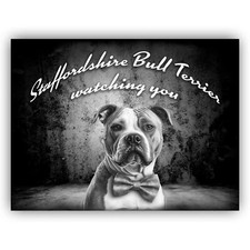 Staffordshire Bullterrier