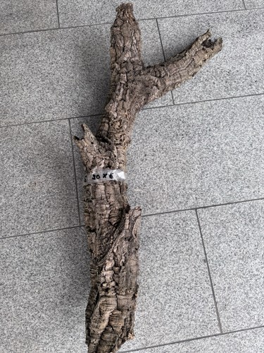 Xxl kork röhre - xxl, natur