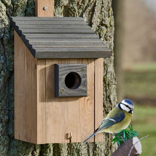 Nistkasten vogelhaus pultdach - nistkasten,
