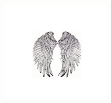 BABY FLÜGEL PAILLETTEN