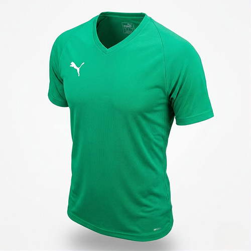 Puma herren shirt - puma, t-shirt