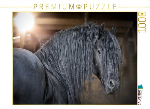 Calvendo puzzle ein - calvendo, aus