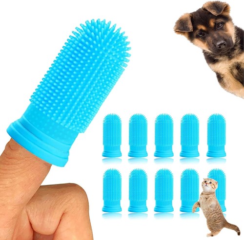 Stück zahnbürste hund - 10,
