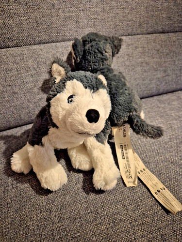 Ikea hund husky huskie - husky, livlig