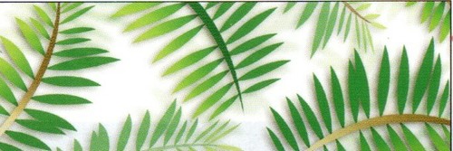 Transparentpapier palmwedel - transparentpapier,