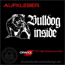 Bulldog Inside OEB Bulldogge