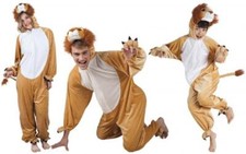 Löwe löwen lion - löwen,
